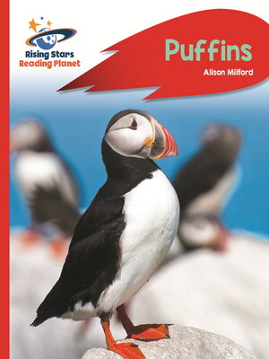 cover image of Reading Planet--Puffins--Red A